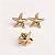Conjunto Estrela - Imagem 1