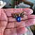 Broche Libélula Azul Pequeno - Imagem 3