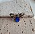 Broche Libélula Azul Pequeno - Imagem 2