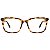 Illesteva Portland Tortoise Optical - Imagem 1