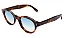Illesteva Medellin Havana w/ Blue Gradient See Through - Imagem 2