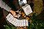 Kit Promocional 30 Unidades Drip Coffee - Imagem 4