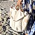 BOLSA GRANDE FLORIPA REUSO LONA CRUA - Imagem 2