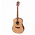 Violão Aço Eletro Acústico Giannini Pro FK1 Gonçalo Alves NS - Imagem 1