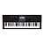 Teclado Digital Casio CT X800 61 Teclas Preto c Suporte + Capa e Pedal - Imagem 2
