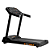 Esteira ergometrica Condor Pro III - Imagem 1