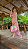 BOLSA ZEBRA LIMA PINK - Imagem 7