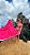 PAREÔ ZEBRA NORONHA PINK COM VERMELHO - Imagem 1