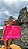 BOLSA NORONHA ZEBRA PINK COM VERMELHO - Imagem 1