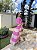 SAÍDA LONGA MUSSELINE BICOLOR ROSA CHICLETE E NUDE - PRÉ VENDA - Imagem 1
