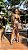 SAÍDA LONGA CAJU NUDE - Imagem 2