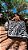 PAREÔ ZEBRA TIGRE ZEBRA PRETO E BRANCO - Imagem 1