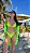BIQUÍNI LOREN ASA DELTA VERDE NEON - Imagem 1