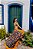 PAREÔ PARATY - Imagem 1