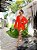 KIMONO LOREN LARANJA - Imagem 1