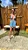 SHORTS LOREN AZUL - Imagem 4