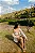 CONJUNTO SERENA OFF WHITE CAMISA E SHORTS - Imagem 13