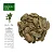 Boldo - Imagem 1
