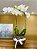 Orquidea vaso de Vidro - Imagem 1