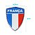 Emblema Escudo Da França Com Moldura Cromada 6 Cm x 4,5 cm - Imagem 10