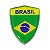 Emblema Escudo Do Brasil Com Moldura Cromada 6 Cm x 4,5 cm - Imagem 1