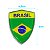 Par Emblema Escudo Do Brasil Com Moldura Cromada 6 Cm x 4,5 cm - Imagem 5