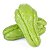 Chuchu orgânico - 600g - Imagem 1