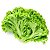 Alface crespa orgânica - Unid. - Imagem 1