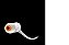 Fone de ouvido JBL T110 WHT Branco - Imagem 1