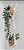 Hanger Dupla•Suporte de plantas - Imagem 1