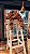 Colar decorativo cascas - Imagem 2