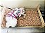 Cama Para Pets em Pinus - Imagem 7