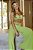Conjunto Estelle Verde MondaBelle - Imagem 3