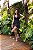 Flor Linda - Vestido Envelope Preto - Imagem 1