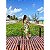 Roma - Vestido Longo Estampado Farm - Imagem 1