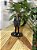 Action Figure Ellie The Last of Us 17cm - Imagem 1