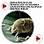 Free Inset Anti Acaros- Interrompe O Ciclo Biológico 7 Un - Imagem 4