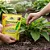 Lesmicida Ferramol Organic Lesmas E Caracóis Neudorff 500gr - Imagem 3
