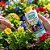 Fertilizante Líquido 10-10-10 Manutenção Plantas Dimy 120ml - Imagem 5