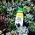 Kit Com 3 Fertilizantes Líquido Para Suculentas Vithal 250ml - Imagem 5