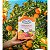 Fertilizante Hidrossolúvel Horta Flores Frutas Vithal 400g - Imagem 2