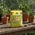 Lesmicida Ferramol Organic Lesmas E Caracóis Neudorff 3x50gr - Imagem 2
