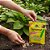 Lesmicida Ferramol Organic Lesmas E Caracóis Neudorff 3x50gr - Imagem 4