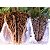 Vermiculita Fina Expandida Para Jardinagem 3 Litros - Imagem 3