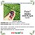Fertilizante Enraizador Mudas Gramados Flores Vigaroot  Rgtec 2x500g - Imagem 8