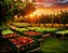 Fertilizante Frutas 500gr Npk 10-08-20 + 9 Dimy - Imagem 2
