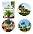 Adubo Fertilizante Palmeiras Crescimento Plantio Jardim 1kg - Imagem 2