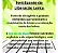 Adubo Fertilizante Palmeiras Crescimento Plantio Jardim 1kg - Imagem 6