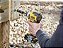 Parafusadeira Impacto 20V ATOMIC DCF850B Brushless 1/4 DEWALT - Imagem 5