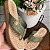 Chinelo Modare Ultraconforto - Imagem 3